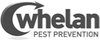 our customer whelan