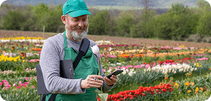 Automated client messaging