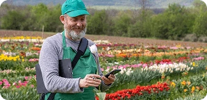 Automated client messaging